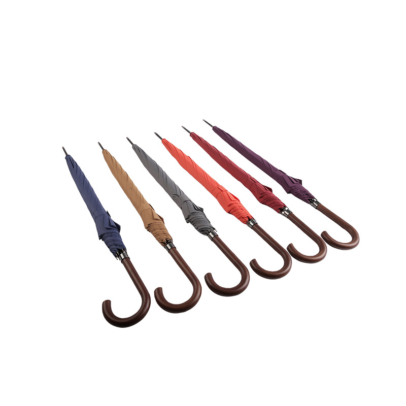 গাঢ় বেগুনি পিলার পঞ্জি সোজা ছাতা-0E6B0146