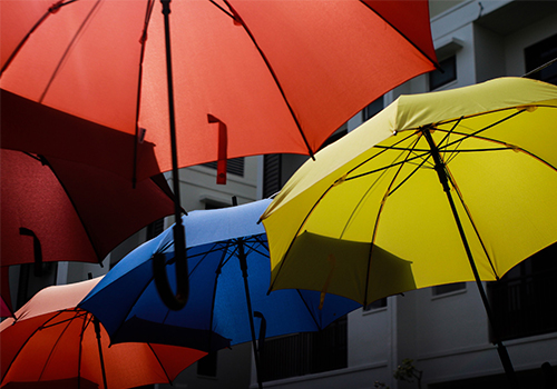 ছাতা শিল্পের বাজার উন্নয়নের স্থিতাবস্থার বিশ্লেষণ