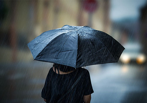 ছাতা শিল্পে একটি ছোট প্রাদুর্ভাব: গত বছর নিবন্ধন 139% বেড়েছে