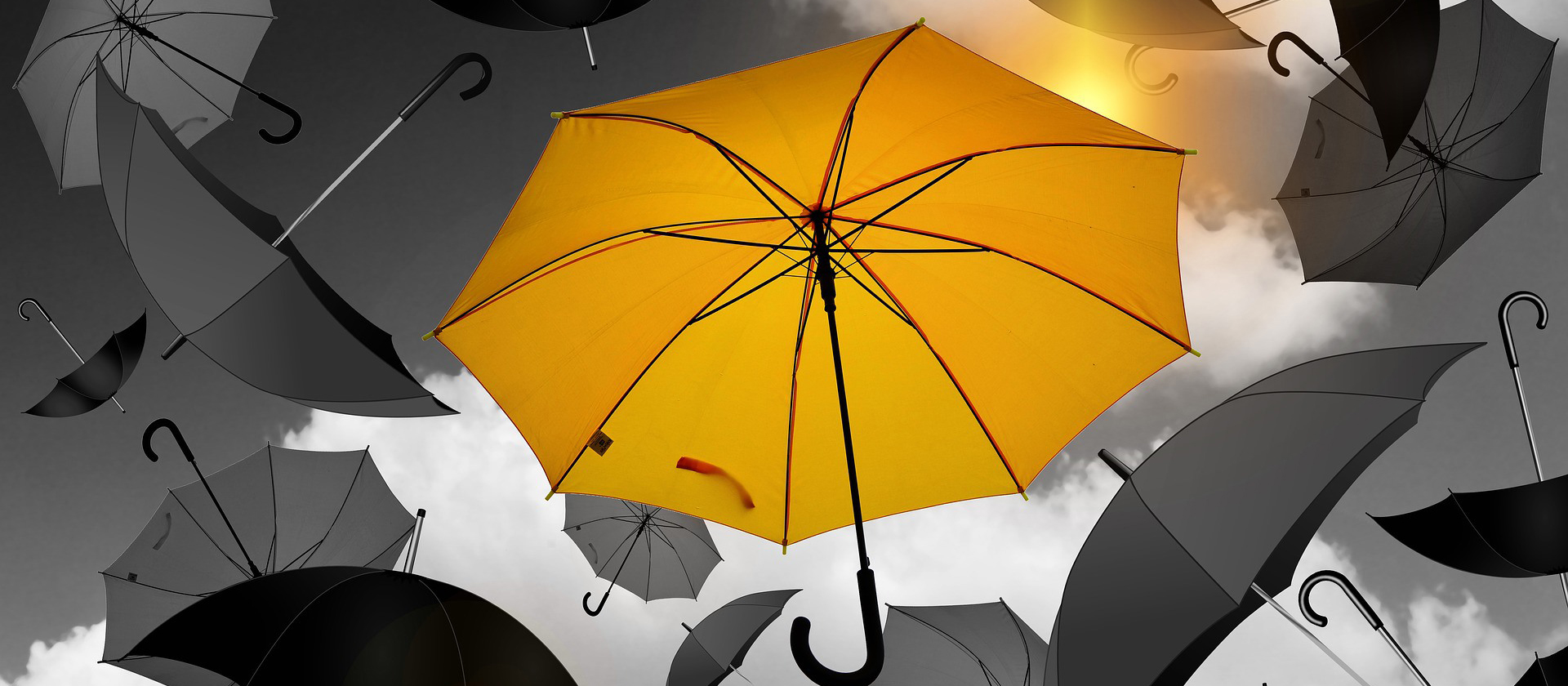 ছাতা ধাপের জন্য চারটি প্রধান উপাদান রয়েছে